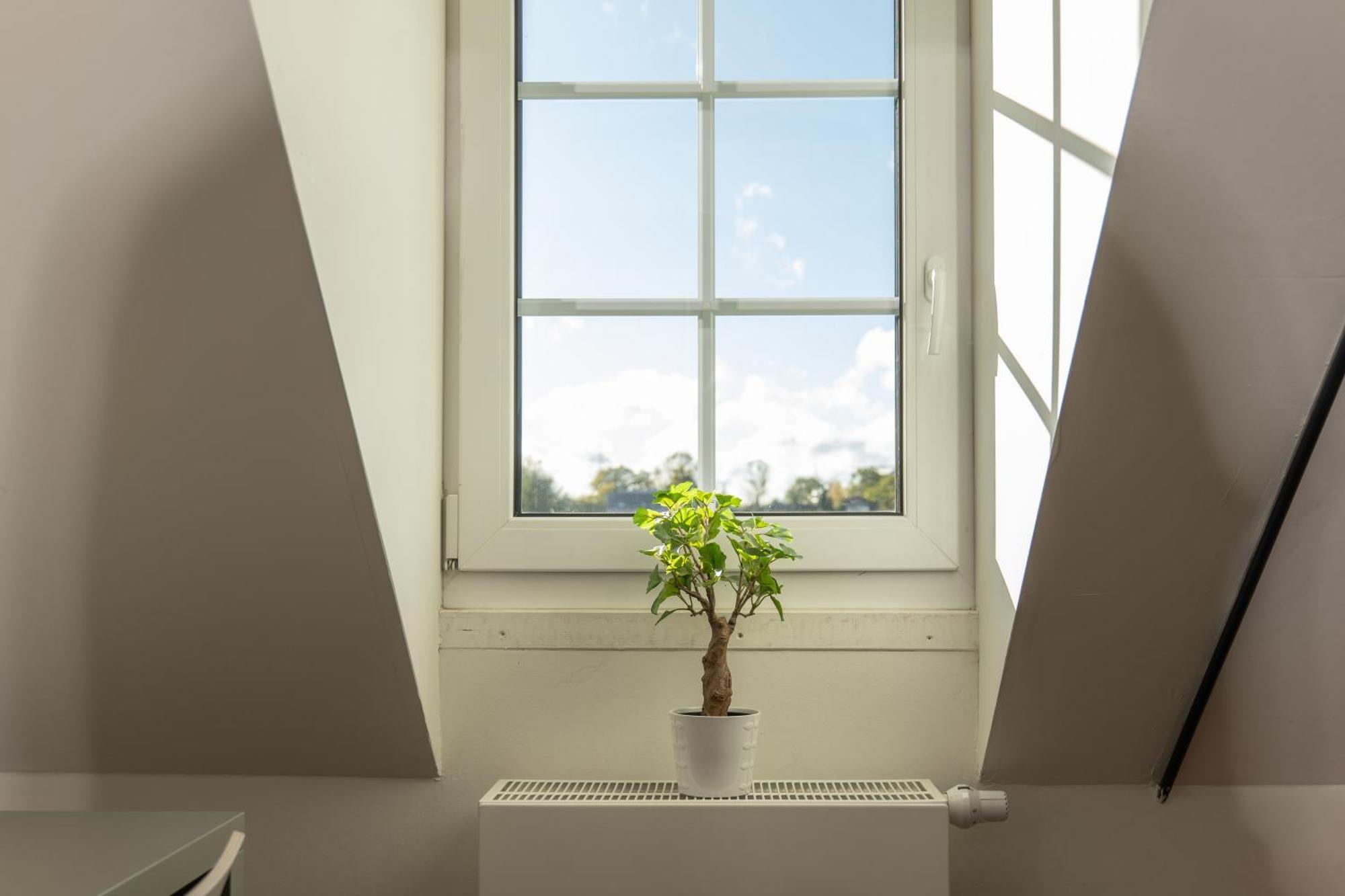Haus Overbach Jülich Dış mekan fotoğraf